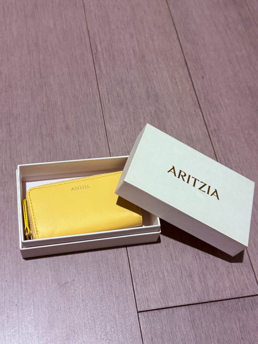 NWT Aritzia Genuine Leather Card Case
